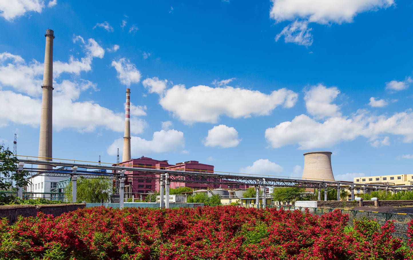 博猫游戏科技积极参与创建文明城市活动